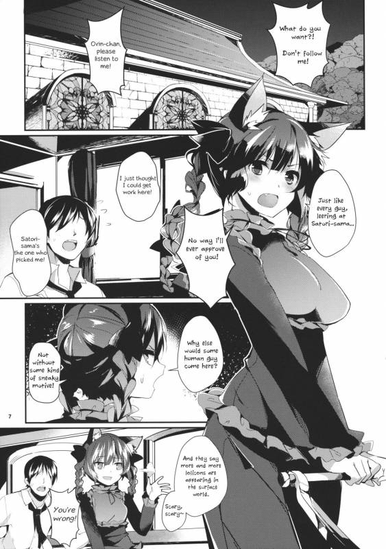 (Reitaisai 11) [Tetsu no Otoshigo (Chirorian)] Neko no Kimochi wa Futeikei (Touhou Project) [English]_05