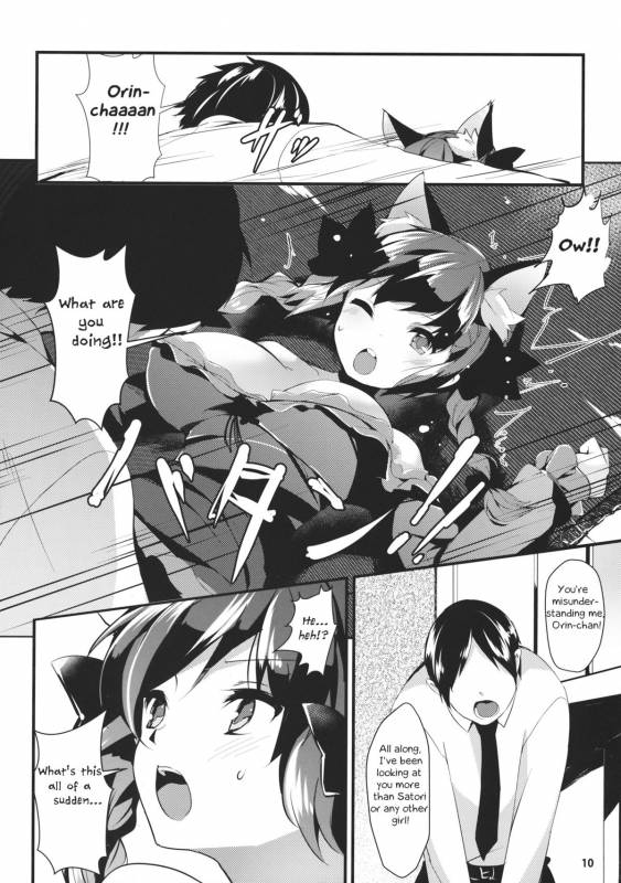 (Reitaisai 11) [Tetsu no Otoshigo (Chirorian)] Neko no Kimochi wa Futeikei (Touhou Project) [English]_08