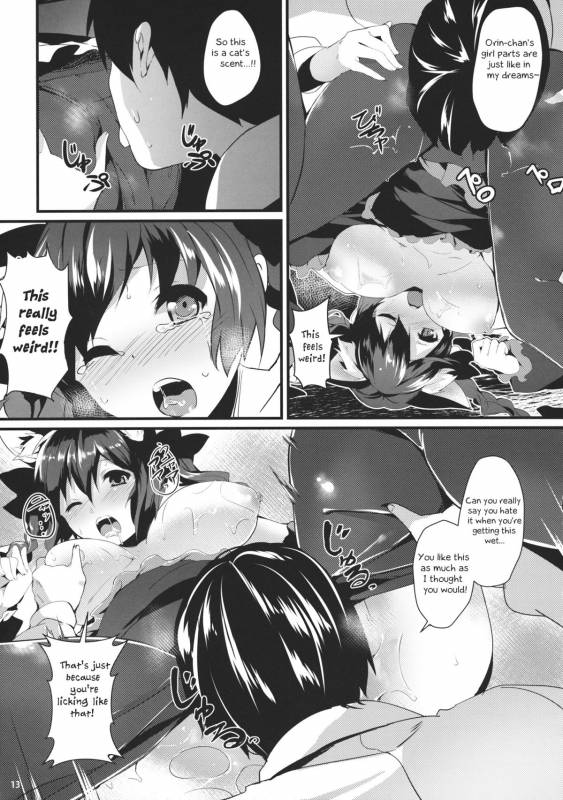 (Reitaisai 11) [Tetsu no Otoshigo (Chirorian)] Neko no Kimochi wa Futeikei (Touhou Project) [English]_11