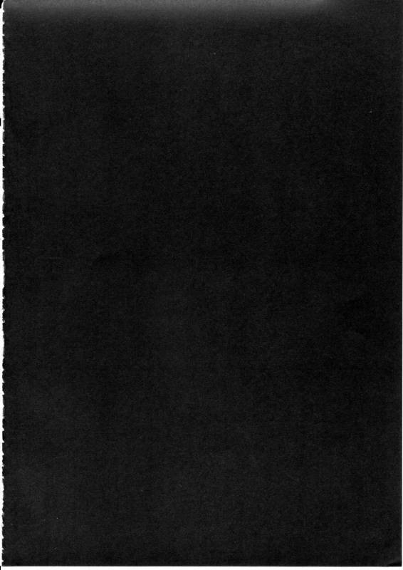 (Reitaisai 12) [e☆ALI-aL! (Ariesu Watanabe)] Gokuchuu Seikatsu ~Sanae Hachi~ (Touhou Project) [English]_02