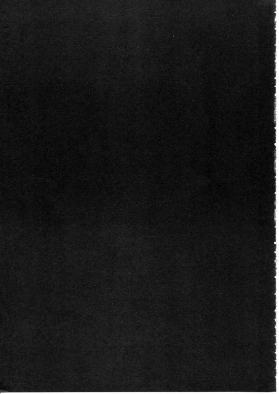 (Reitaisai 12) [e☆ALI-aL! (Ariesu Watanabe)] Gokuchuu Seikatsu ~Sanae Hachi~ (Touhou Project) [English]_18