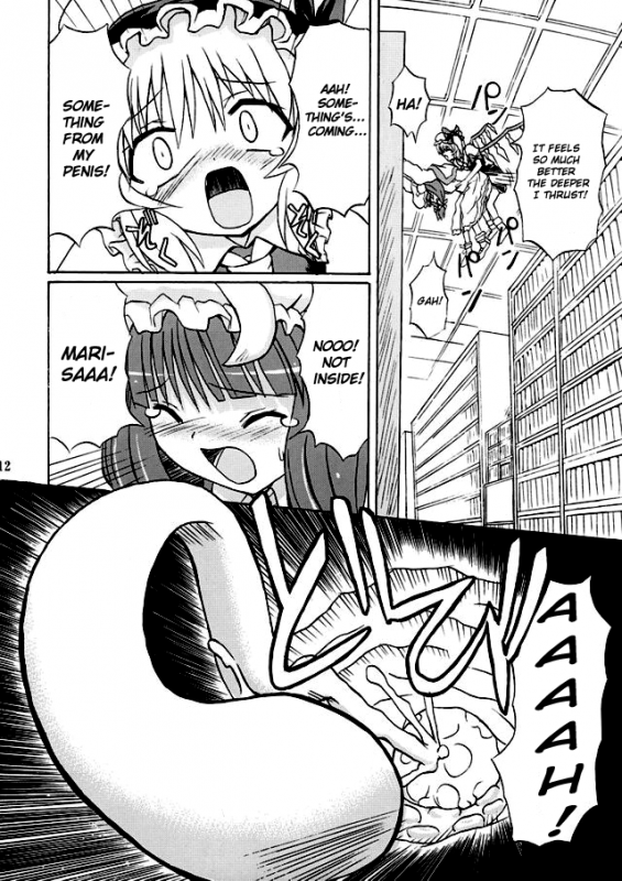 (Reitaisai 2) [Takakuya (Takaku Toshihiko)] Touhou Youjo Ranbu 2  Touhou Enc_10