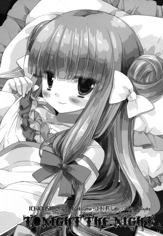 (Reitaisai 9) [D.N.A.Lab., Ichigo Size (Miyasu Risa, Natsume Eri)] Tonight The Night_10