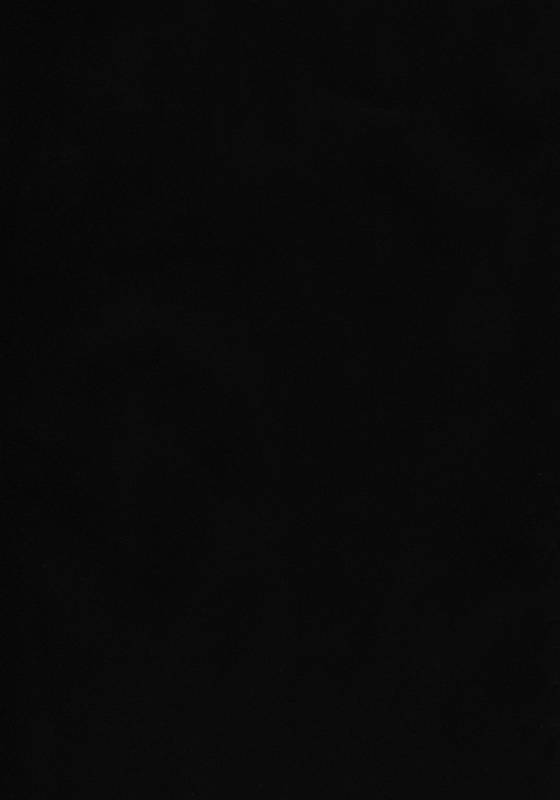 (Reitaisai 9) [e☆ALI-aL! (Ariesu Watanabe)] Hanakui Mushi (Touhou Project) [English] [Kizlan] [Decen_02