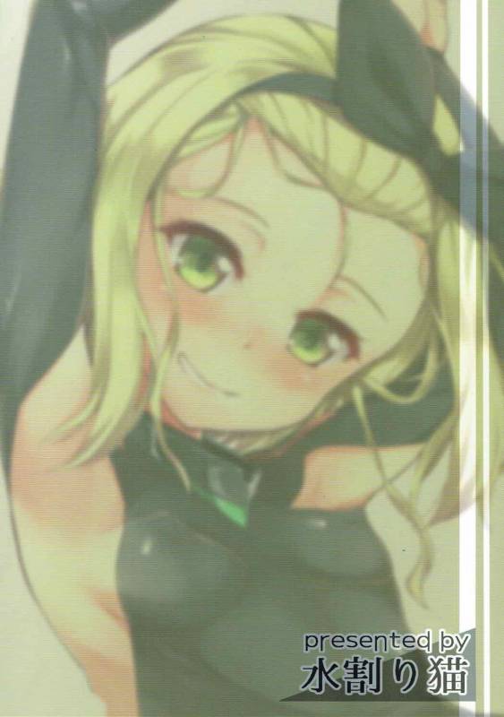 (SC2017 Autumn) [Mizuwari Neko (Toyo)] Chiis_25