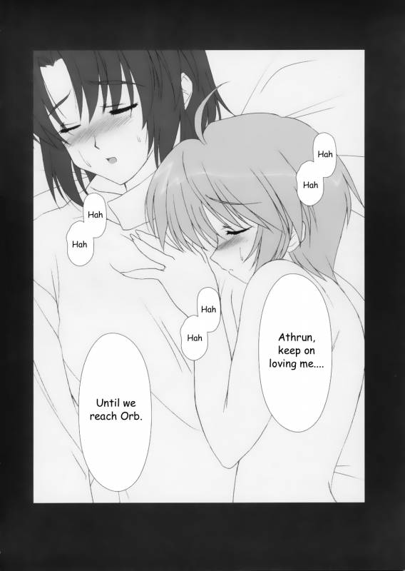 (SC26) [Nirvana Soft (Hironii)] Red Impact (Gundam Seed Destiny, Gad Guard) [English] [Hmedia]_14