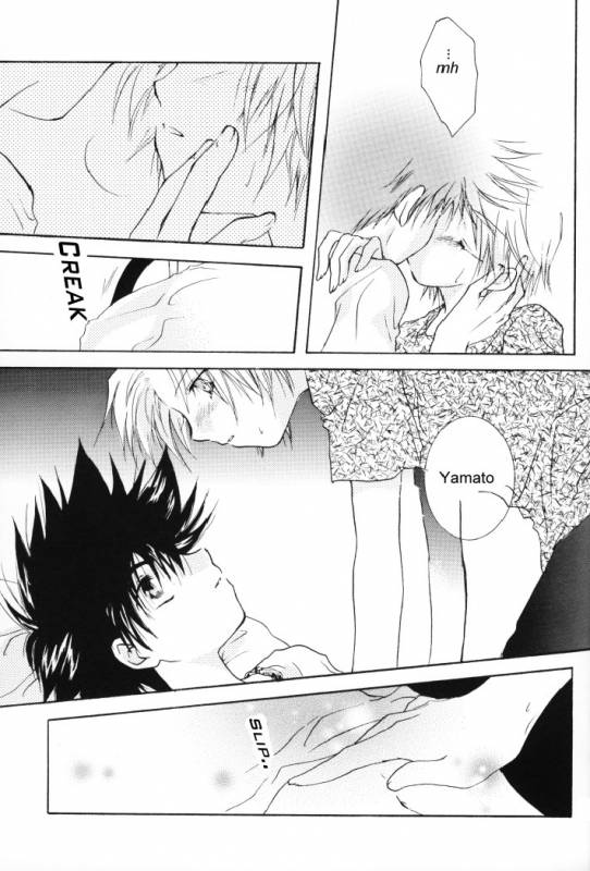 (SUPERKansai8) [SECTION E (Hirose Yukiya)] SUNSHINE and MOONLIGHT (Digimon Adventure 02)_13