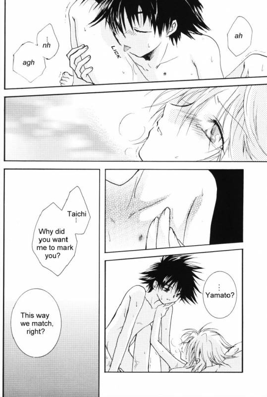 (SUPERKansai8) [SECTION E (Hirose Yukiya)] SUNSHINE and MOONLIGHT (Digimon Adventure 02)_17