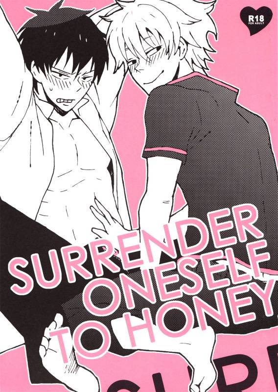 Surrender oneself to Honey (Gintama)_00