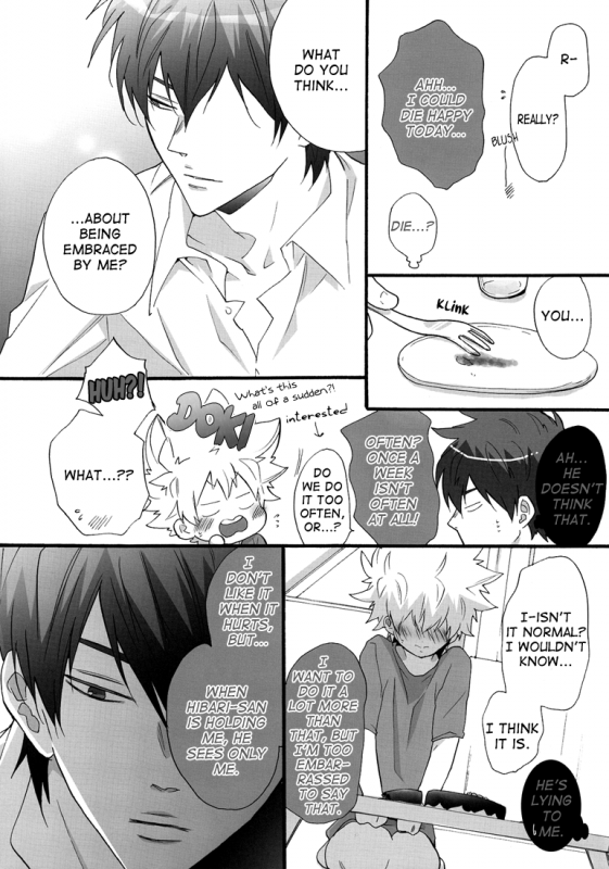 [7 Men Zippo (Kamishima Akira)] Nounai Sepuri  Mind Supplement (Katekyo Hitman REBORN!) [E_05