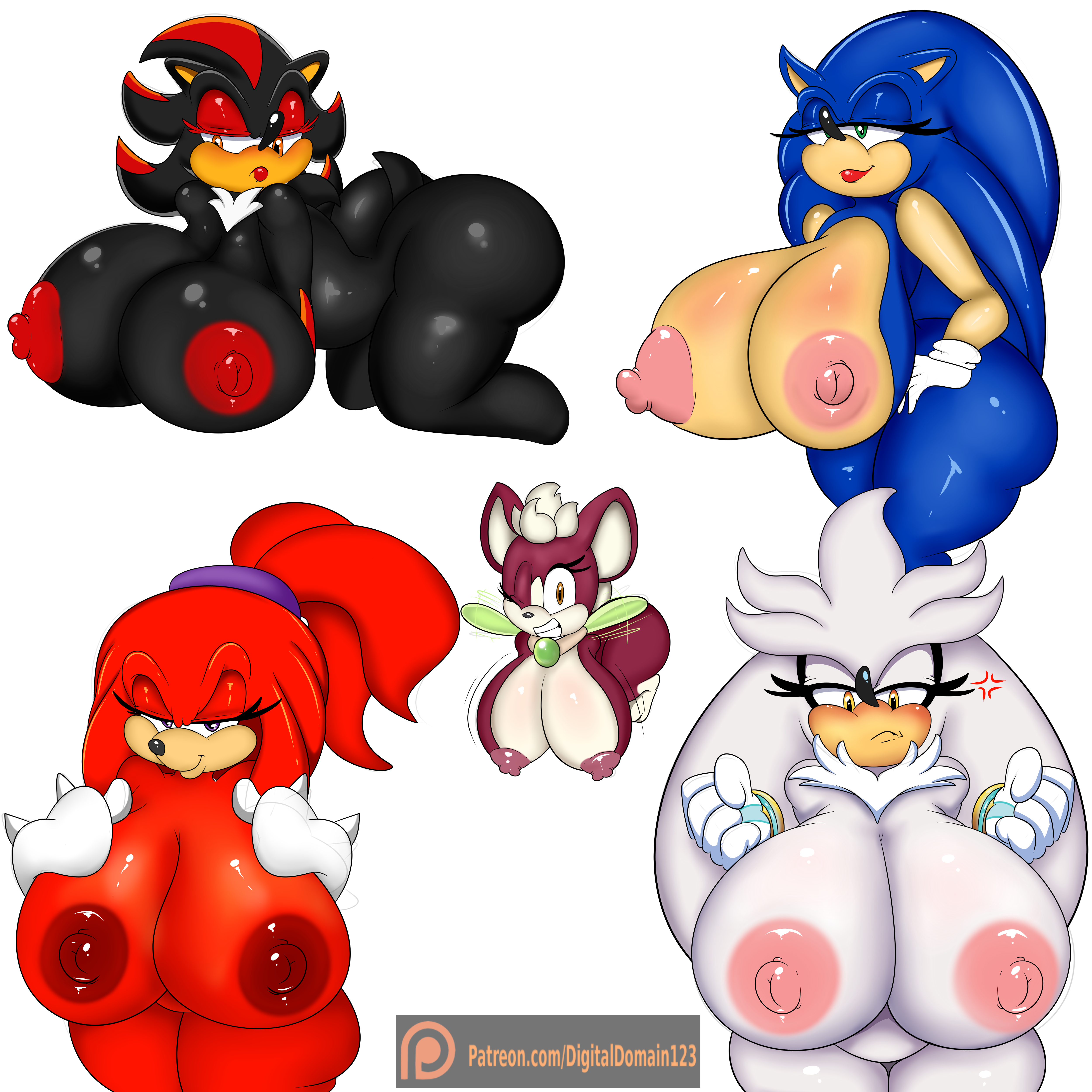 chip (sonic)+knuckles the echidna+shadow the hedgehog+silver the hedgehog+s...