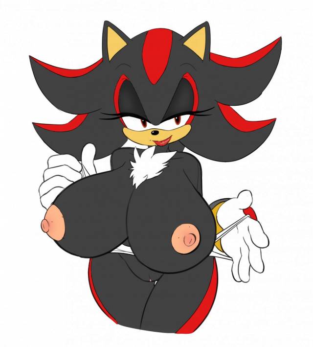 shadow the hedgehog