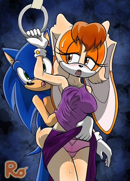 sonic the hedgehog+vanilla the rabbit