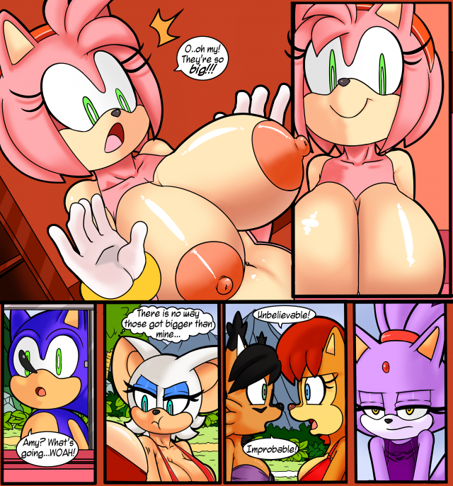 amy rose+blaze the cat+nicole the lynx+rouge the bat+sally acorn+sonic the hedgehog