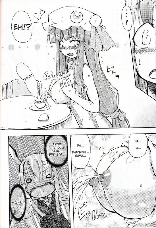 koakuma+patchouli knowledge