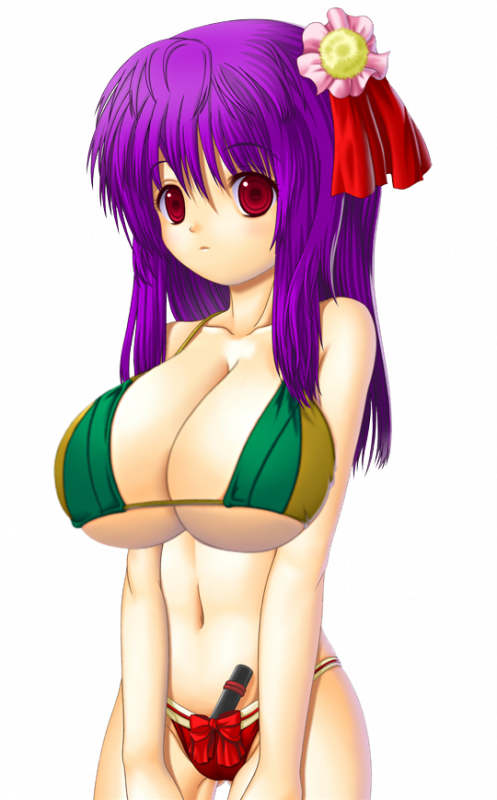 hieda no akyuu