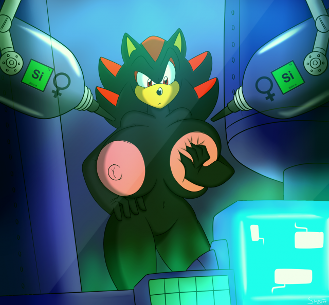 shadow the hedgehog