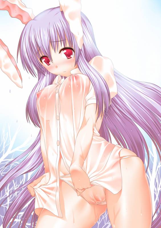 reisen udongein inaba