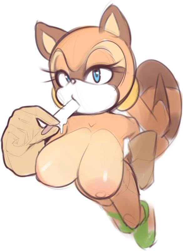 marine the raccoon