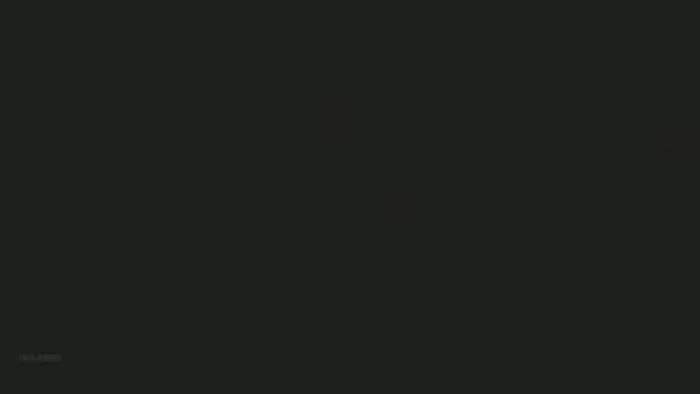 harley quinn+jessica rabbit