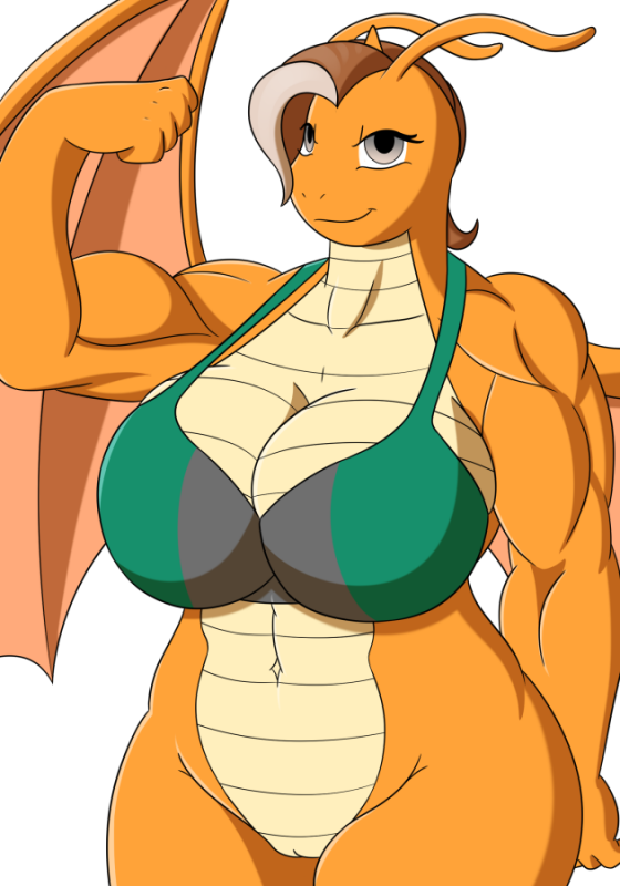 dragonite+fan character
