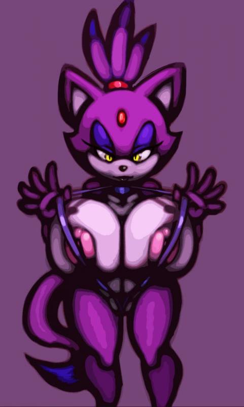 blaze the cat