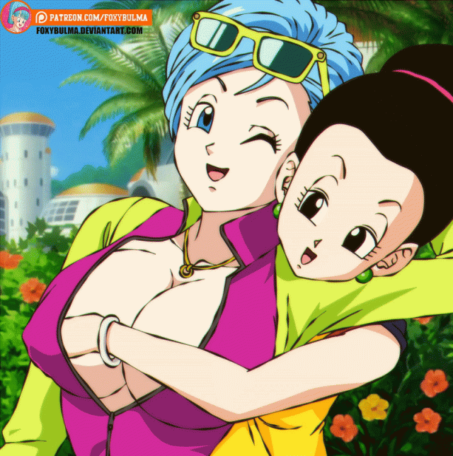 bulma briefs+chichi