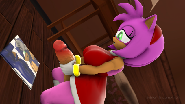 amy rose+sonic the hedgehog