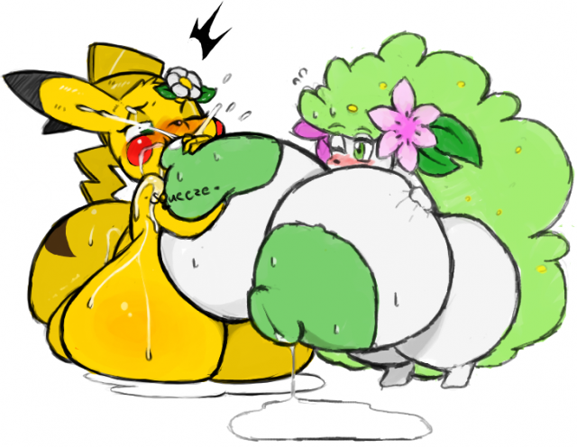 legendary pokemon+pikachu+shaymin