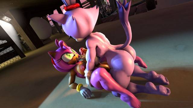 amy rose+blaze the cat