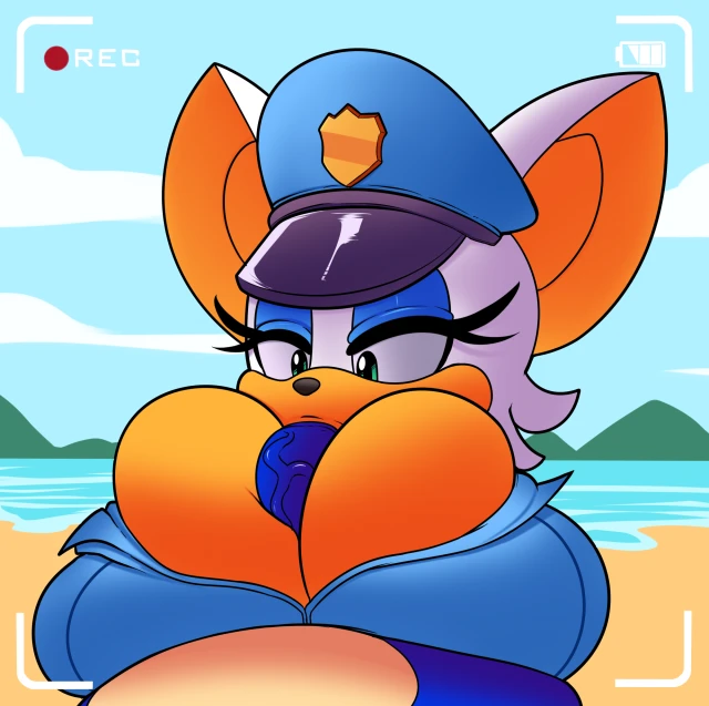 rouge the bat+sonic the hedgehog