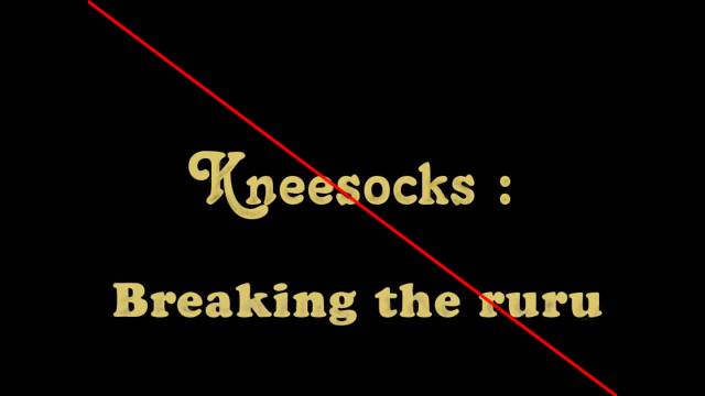 kneesocks (psg)+panty (psg)