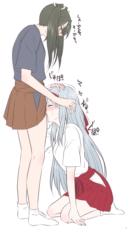 shoukaku (kantai collection)+zuikaku (kantai collection)