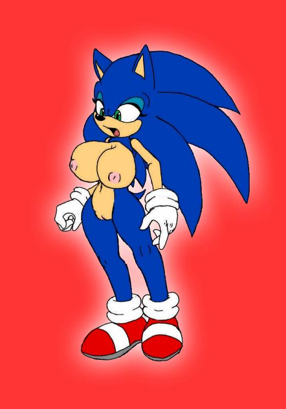 sonic the hedgehog