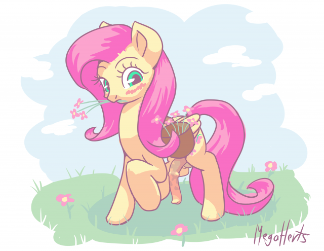 fluttershy (mlp)