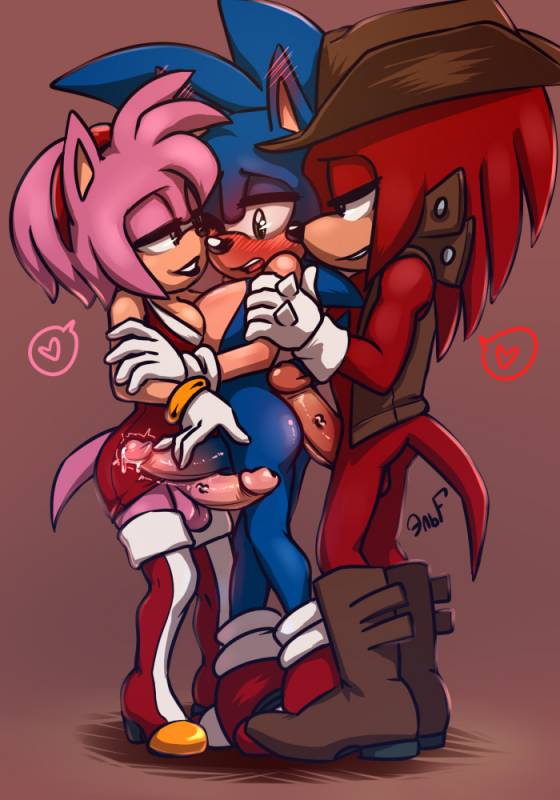 amy rose+knuckles the echidna+sonic the hedgehog