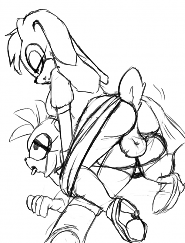 amy rose+vanilla the rabbit