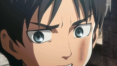 eren yeager+mikasa ackerman
