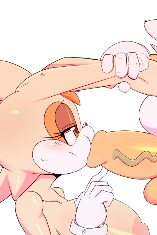 tails+vanilla the rabbit