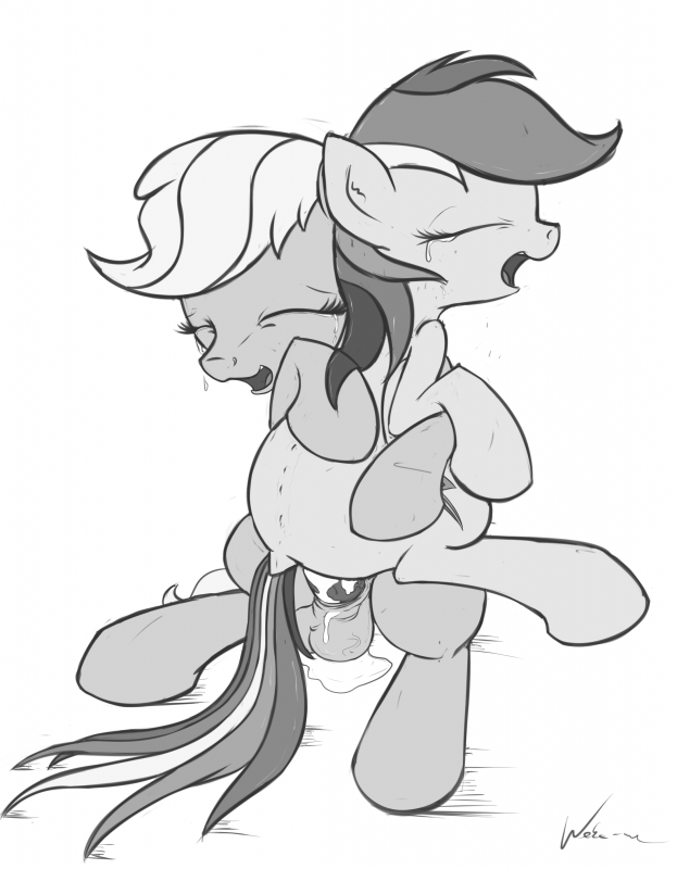 applejack (mlp)+rainbow dash (mlp)