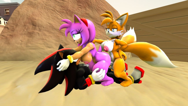 amy rose+shadow the hedgehog+tails+tailsko