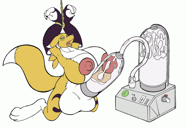 renamon