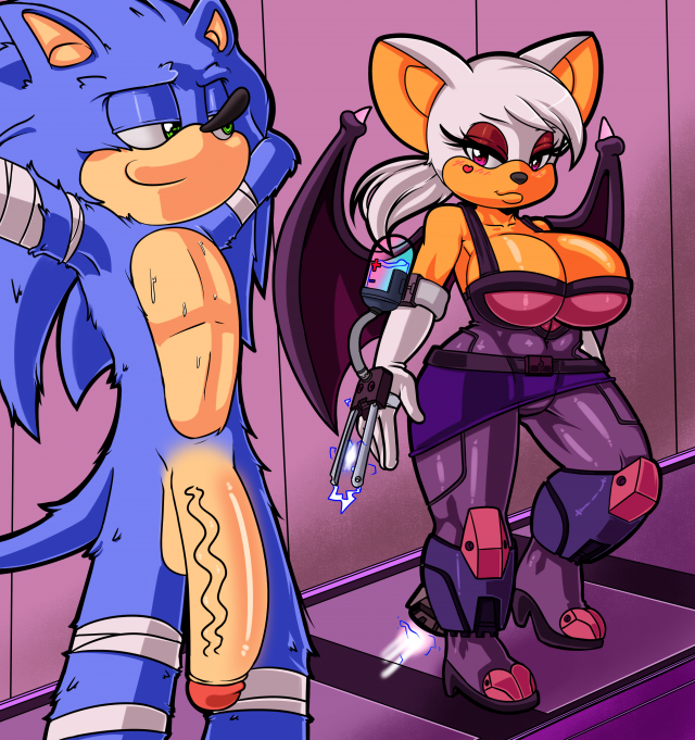 rouge the bat+sonic the hedgehog