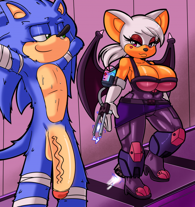 rouge the bat+sonic the hedgehog