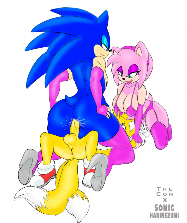 amy rose+sonic the hedgehog+tails