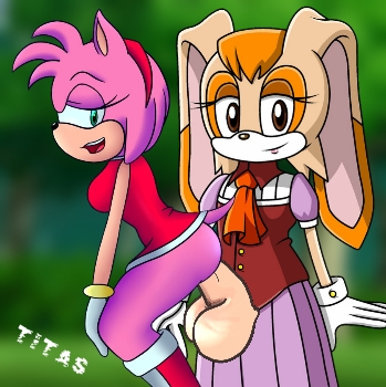 amy rose+vanilla the rabbit
