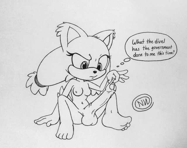 sticks the jungle badger