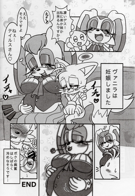 cheese the chao+cream the rabbit+tails+vanilla the rabbit