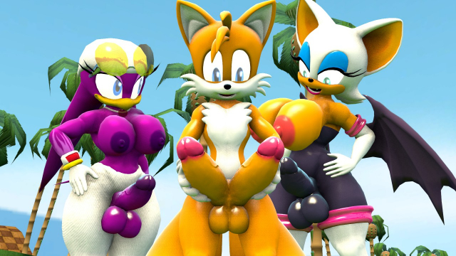 rouge the bat+tails+wave the swallow