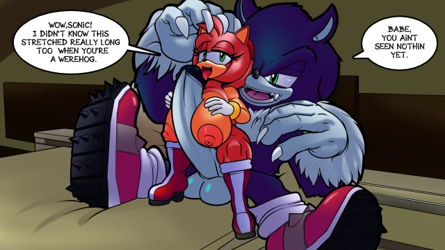 amy rose+sonic the hedgehog+sonic the werehog